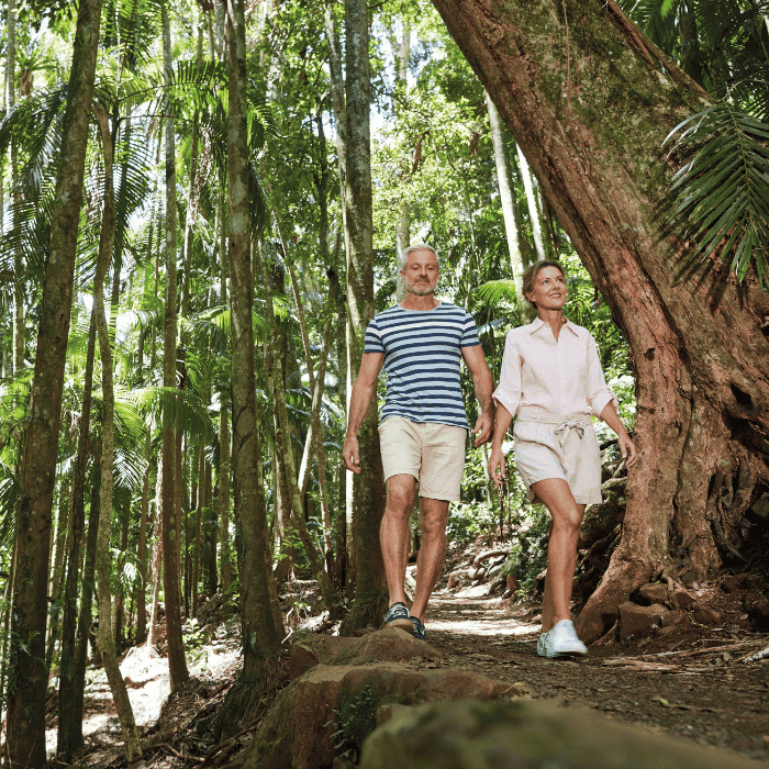 Curtis Falls Trail, Tamborine Mountain, Queensland, Australia. Image courtesy of Tourism and Events Queensland.