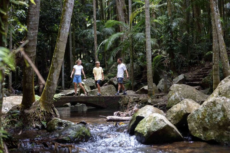 Tamborine Mountain, Queensland, Australia. Image courtesy of Tourism and Events Queensland.
